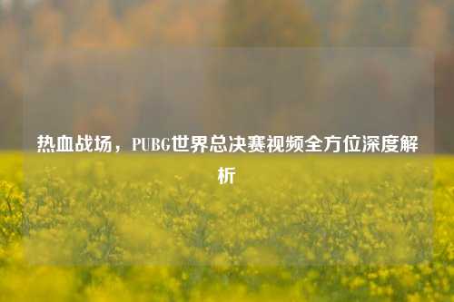 热血战场,PUBG世界总决赛视频全方位深度解析
