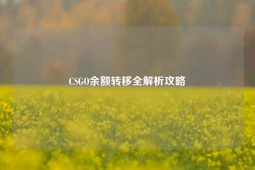 CSGO余额转移全解析攻略