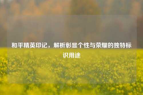 和平精英印记,解析彰显个性与荣耀的独特标识用途