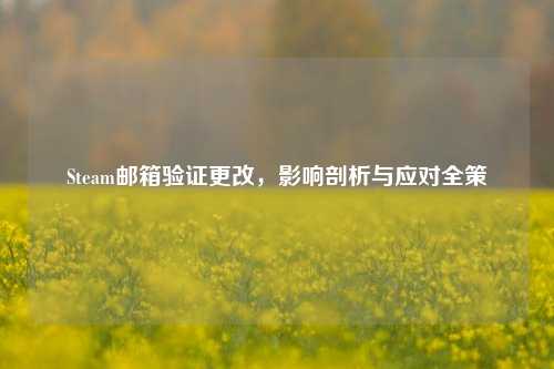Steam邮箱验证更改,影响剖析与应对全策