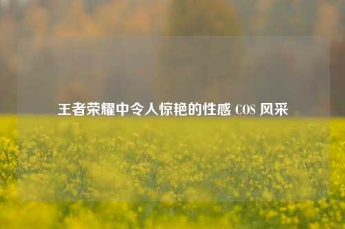 王者荣耀中令人惊艳的性感 COS 风采