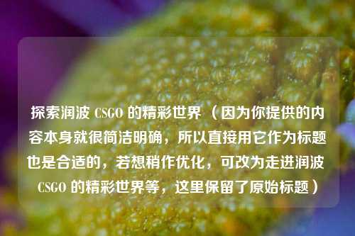 探索润波 CSGO 的精彩世界 (因为你提供的内容本身就很简洁明确,所以直接用它作为标题也是合适的,若想稍作优化,可改为走进润波 CSGO 的精彩世界等,这里保留了原始标题)