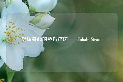 舒缓身心的蒸汽疗法——Inhale Steam