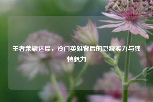 王者荣耀达摩，冷门英雄背后的隐藏实力与独特魅力