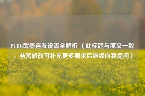 PUBG武器连发设置全解析 (此标题与原文一致,若需修改可补充更多要求后继续向我提问)