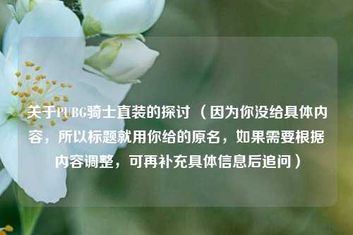 关于PUBG骑士直装的探讨 (因为你没给具体内容,所以标题就用你给的原名,如果需要根据内容调整,可再补充具体信息后追问)