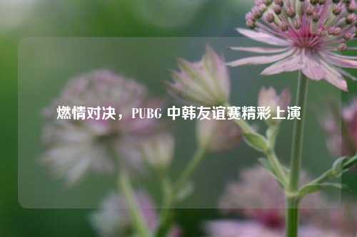 燃情对决,PUBG 中韩友谊赛精彩上演