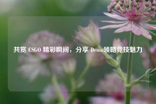共赏 CSGO 精彩瞬间,分享 Demo领略竞技魅力