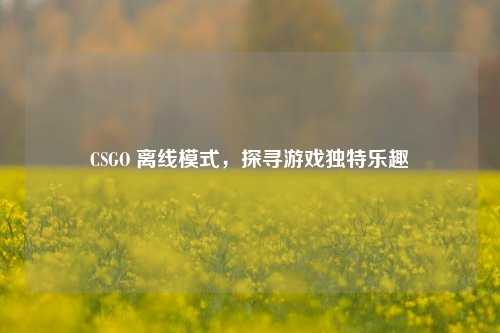 CSGO 离线模式，探寻游戏独特乐趣