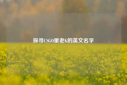 探寻CSGO里老K的英文名字