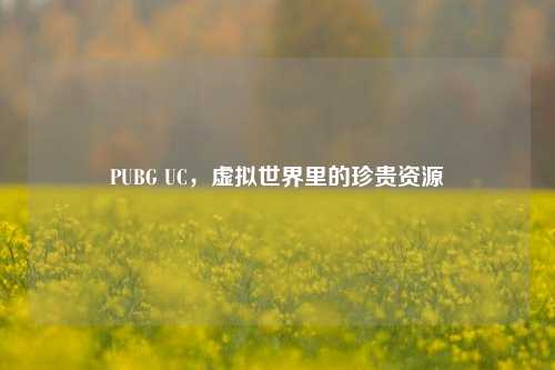 PUBG UC，虚拟世界里的珍贵资源