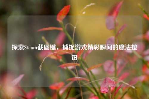 探索Steam截图键，捕捉游戏精彩瞬间的魔法按钮