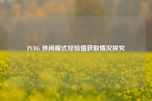 PUBG 休闲模式经验值获取情况探究