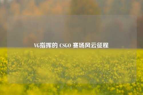 VG指挥的 CSGO 赛场风云征程