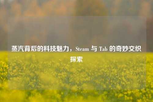 蒸汽背后的科技魅力，Steam 与 Tab 的奇妙交织探索