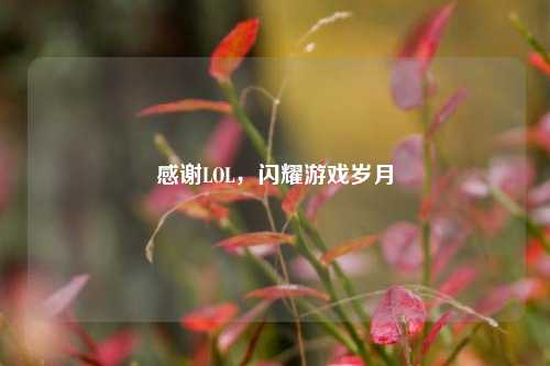 感谢LOL,闪耀游戏岁月