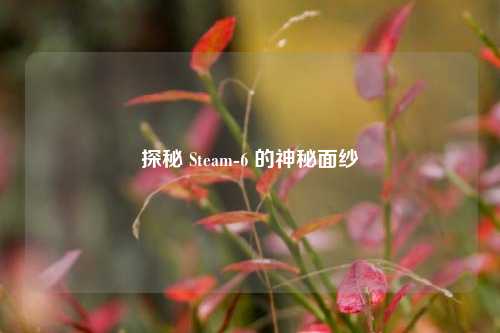 探秘 Steam-6 的神秘面纱