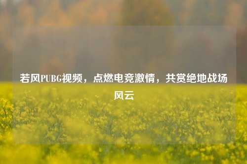 若风PUBG视频,点燃电竞激情,共赏绝地战场风云