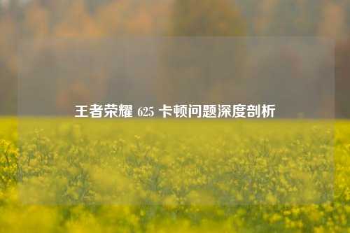 王者荣耀 625 卡顿问题深度剖析