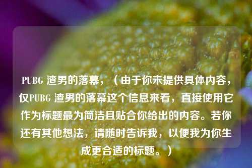 PUBG 渣男的落幕，（由于你未提供具体内容，仅PUBG 渣男的落幕这个信息来看，直接使用它作为标题最为简洁且贴合你给出的内容。若你还有其他想法，请随时告诉我，以便我为你生成更合适的标题。）