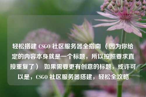 轻松搭建 CSGO 社区服务器全指南 （因为你给定的内容本身就是一个标题，所以按照要求直接重复了）  如果需要更有创意的标题，或许可以是，CSGO 社区服务器搭建，轻松全攻略