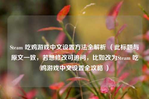 Steam 吃鸡游戏中文设置方法全解析 （此标题与原文一致，若想修改可追问，比如改为Steam 吃鸡游戏中文设置全攻略 ）