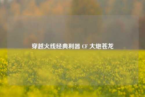 穿越火线经典利器 CF 大炮苍龙