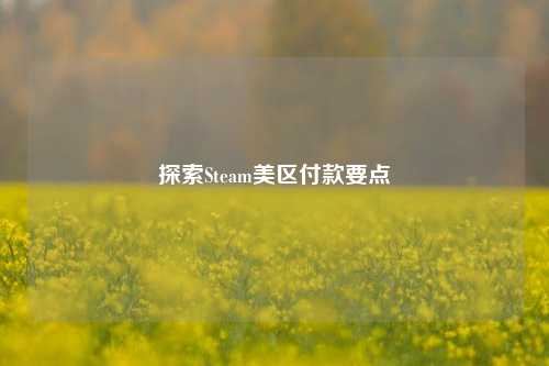 探索Steam美区付款要点