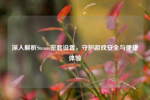 深入解析Steam密匙设置，守护游戏安全与便捷体验