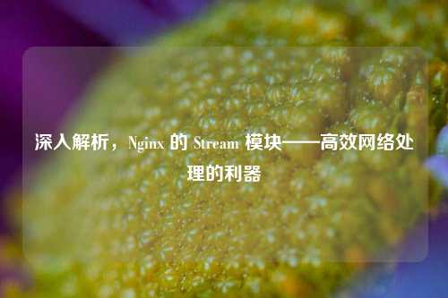 深入解析，Nginx 的 Stream 模块——高效网络处理的利器