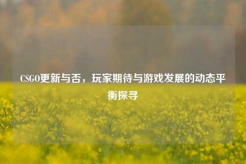 CSGO更新与否，玩家期待与游戏发展的动态平衡探寻