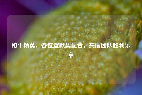 和平精英，各位置默契配合，共谱团队胜利乐章