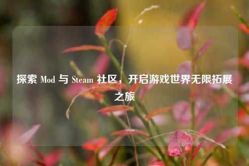 探索 Mod 与 Steam 社区，开启游戏世界无限拓展之旅