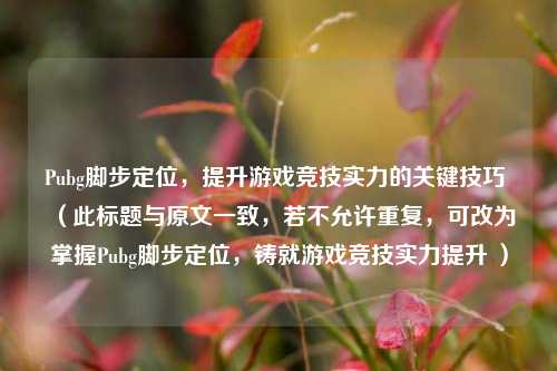 Pubg脚步定位，提升游戏竞技实力的关键技巧 （此标题与原文一致，若不允许重复，可改为掌握Pubg脚步定位，铸就游戏竞技实力提升 ）