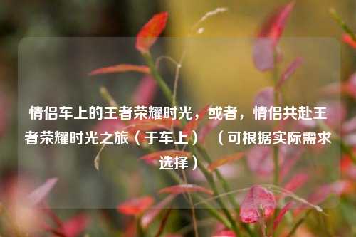 情侣车上的王者荣耀时光，或者，情侣共赴王者荣耀时光之旅（于车上）  （可根据实际需求选择）