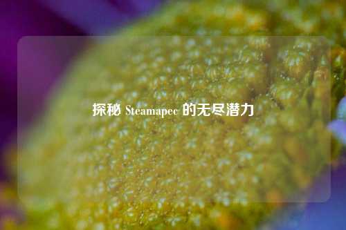 探秘 Steamapec 的无尽潜力