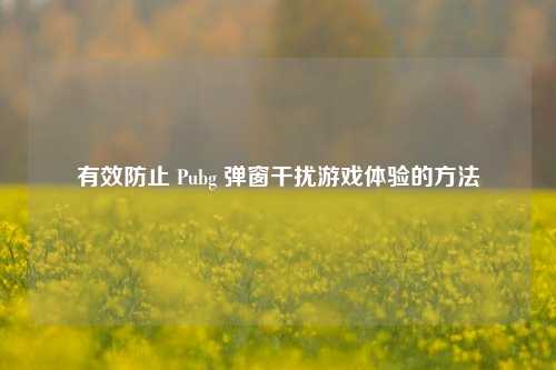 有效防止 Pubg 弹窗干扰游戏体验的方法