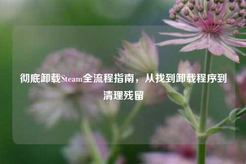 彻底卸载Steam全流程指南,从找到卸载程序到清理残留