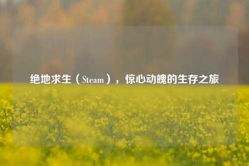 绝地求生(Steam),惊心动魄的生存之旅