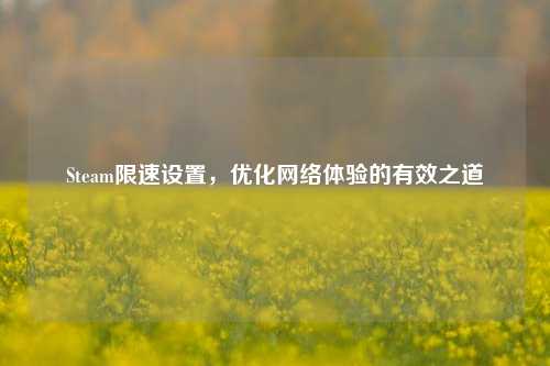 Steam限速设置,优化网络体验的有效之道