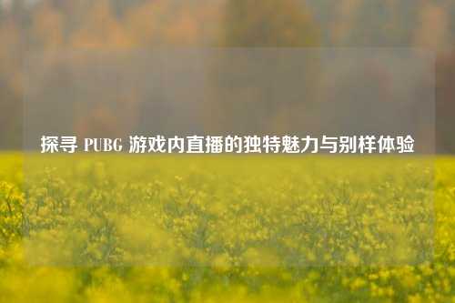 探寻 PUBG 游戏内直播的独特魅力与别样体验