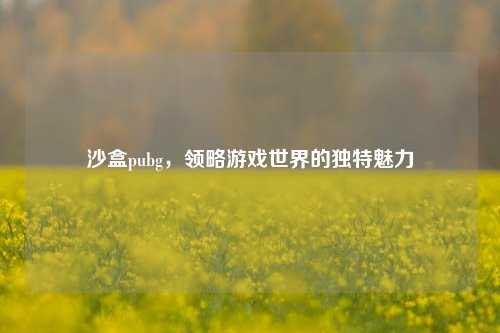 沙盒pubg,领略游戏世界的独特魅力