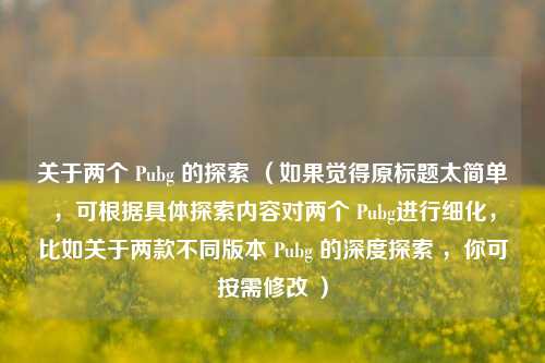 关于两个 Pubg 的探索 （如果觉得原标题太简单，可根据具体探索内容对两个 Pubg进行细化，比如关于两款不同版本 Pubg 的深度探索 ，你可按需修改 ）