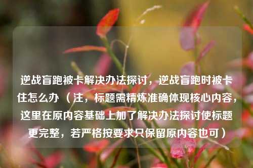 逆战盲跑被卡解决办法探讨，逆战盲跑时被卡住怎么办 （注，标题需精炼准确体现核心内容，这里在原内容基础上加了解决办法探讨使标题更完整，若严格按要求只保留原内容也可）