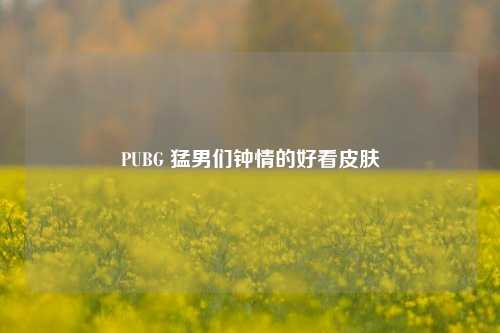 PUBG ***们钟情的好看皮肤