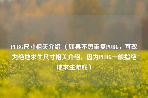 PUBG尺寸相关介绍 （如果不想重复PUBG，可改为绝地求生尺寸相关介绍，因为PUBG一般指绝地求生游戏）