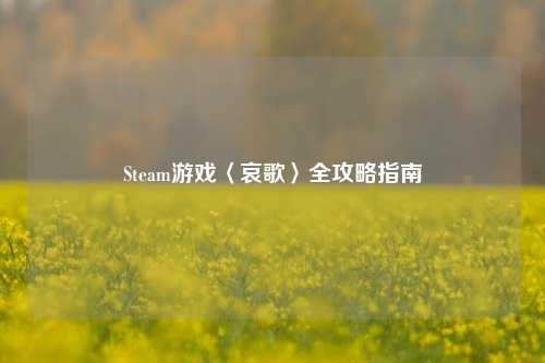 Steam游戏〈哀歌〉全攻略指南