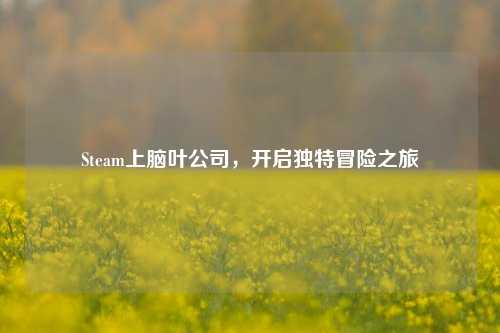 Steam上脑叶公司，开启独特冒险之旅
