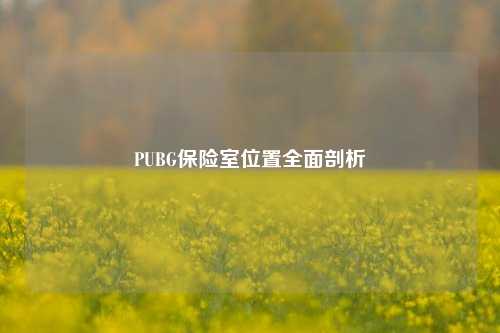 PUBG保险室位置全面剖析