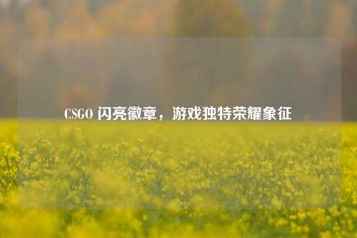 CSGO 闪亮徽章，游戏独特荣耀象征